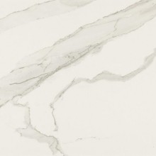 ALBATROS_30X60_(5)s