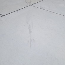 China White - Image 10