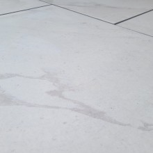 China White - Image 2